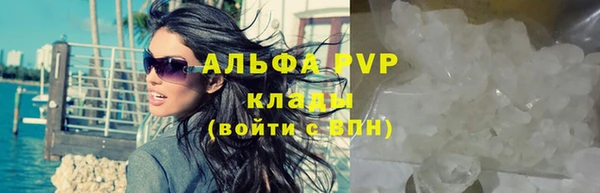 прущая мука Нея