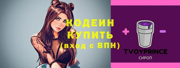 прущая мука Нея