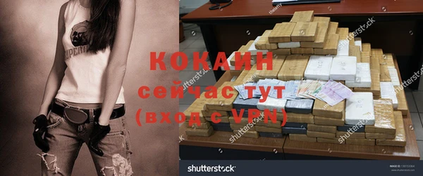 шишки Жердевка