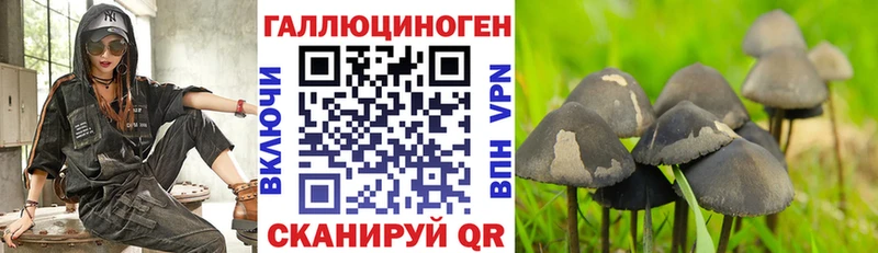 Псилоцибиновые грибы мухоморы  Хотьково 